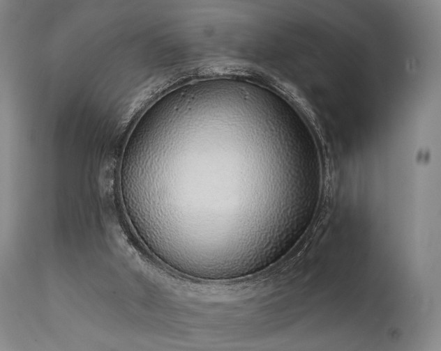 X0000111380010200907171233