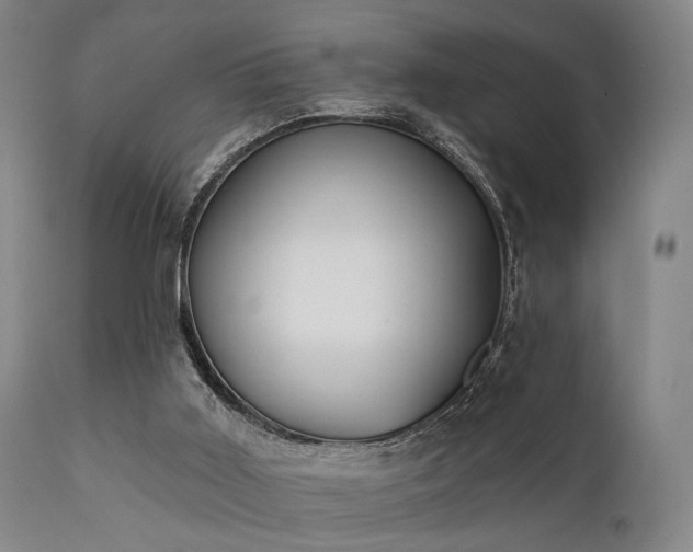 X0000111380011200907171233