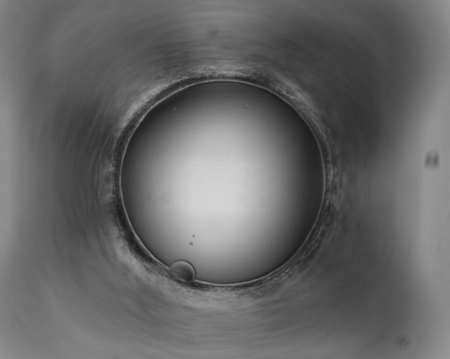 X0000111380012200907171233