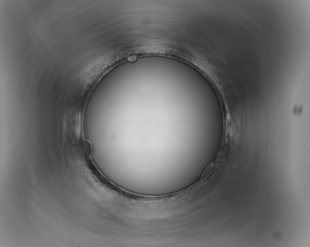 X0000111380013200907171233