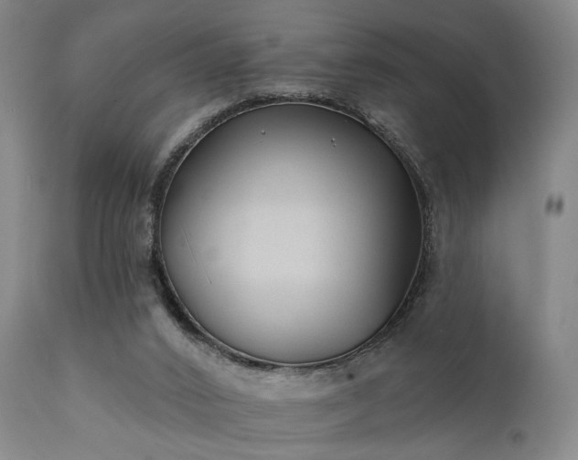 X0000111380016200907171233