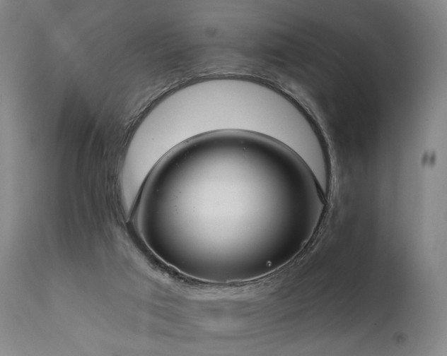 X0000111380017200907171233