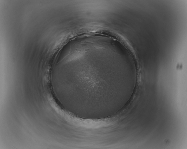 X0000111380018200907171233