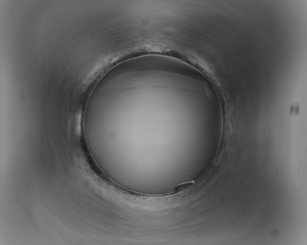 X0000111380019200907171233