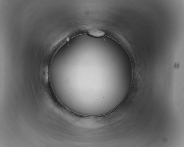 X0000111380020200907171233