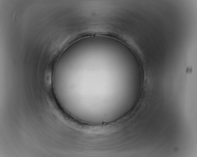 X0000111380021200907171233