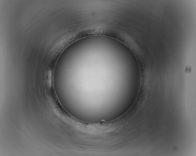 X0000111380022200907171233