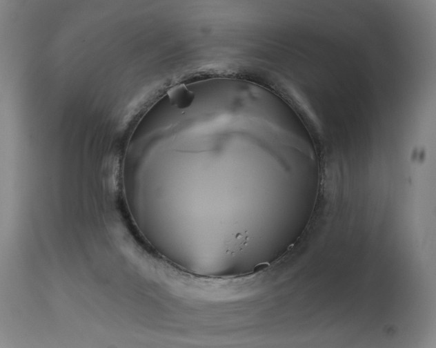 X0000111380023200907171233