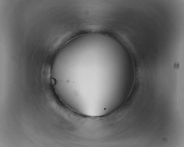 X0000111380024200907171233