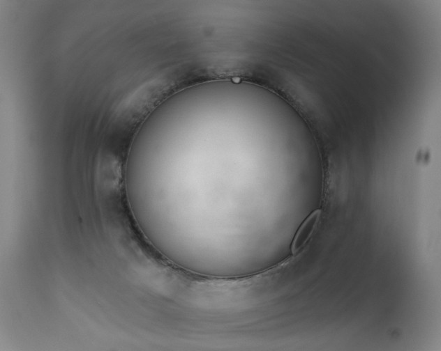 X0000111380025200907171233