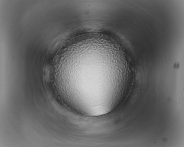 X0000111380026200907171233