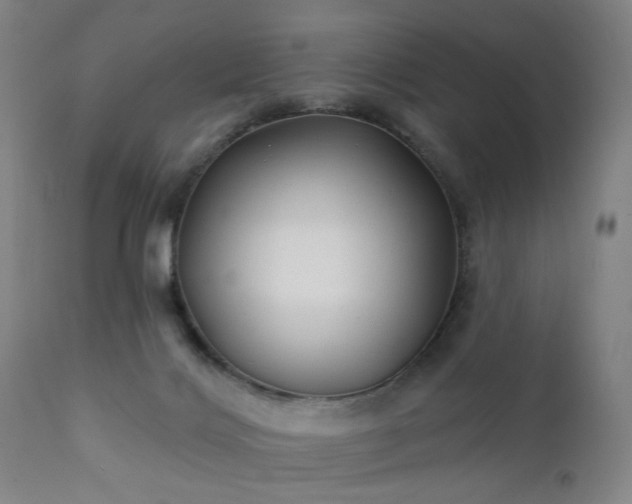 X0000111380028200907171233