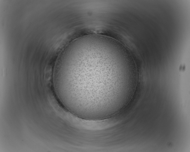 X0000111380030200907171233