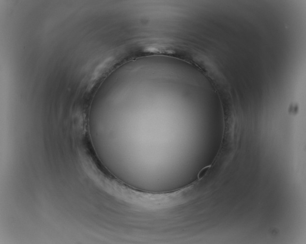 X0000111380031200907171233