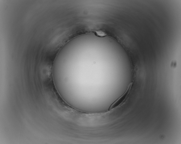 X0000111380033200907171233