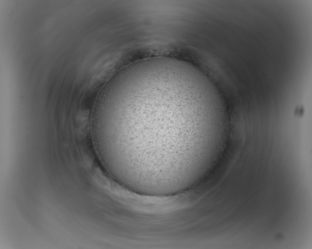 X0000111380034200907171233