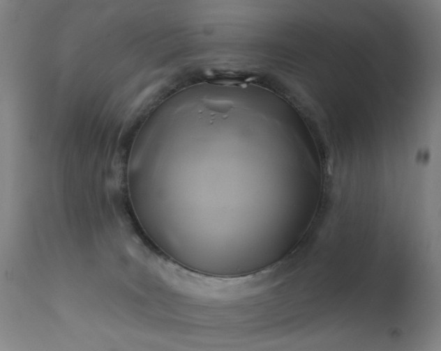 X0000111380035200907171233