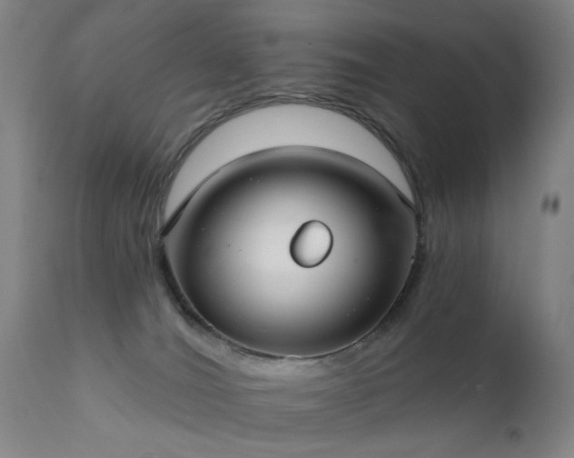 X0000111380036200907171233