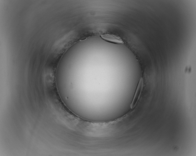 X0000111380037200907171233