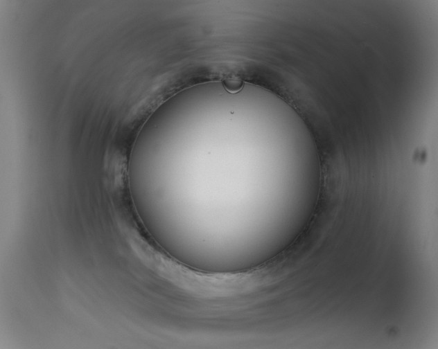 X0000111380038200907171233