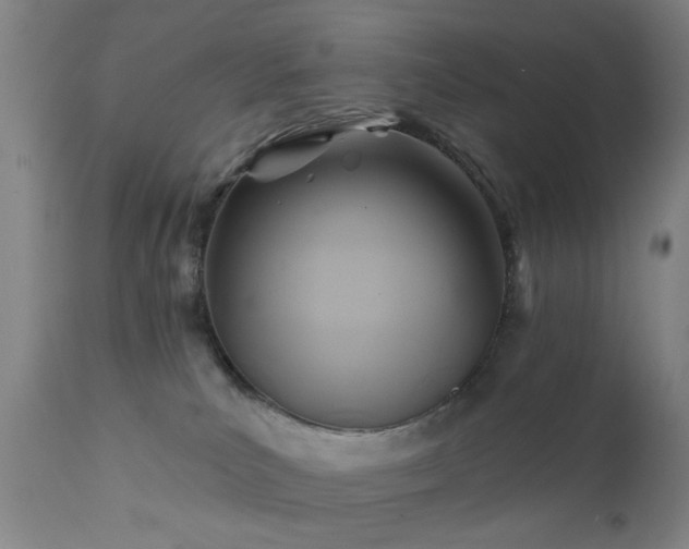 X0000111380039200907171233