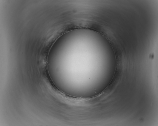 X0000111380040200907171233