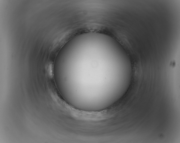 X0000111380042200907171233