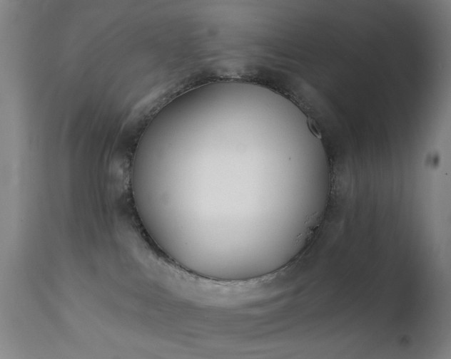 X0000111380043200907171233