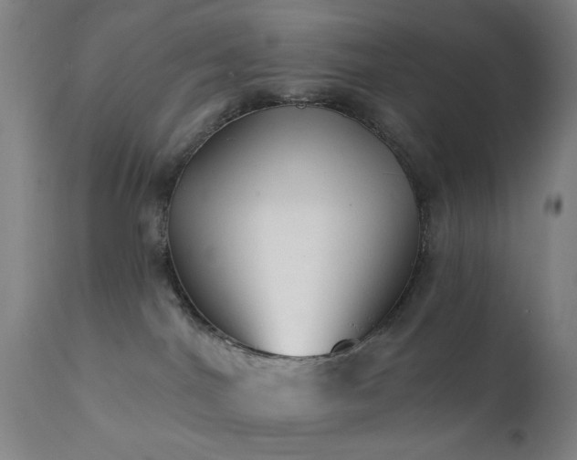 X0000111380044200907171233