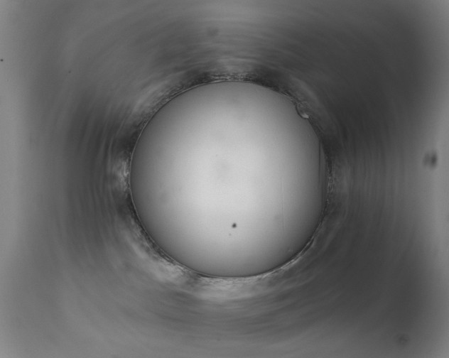 X0000111380045200907171233