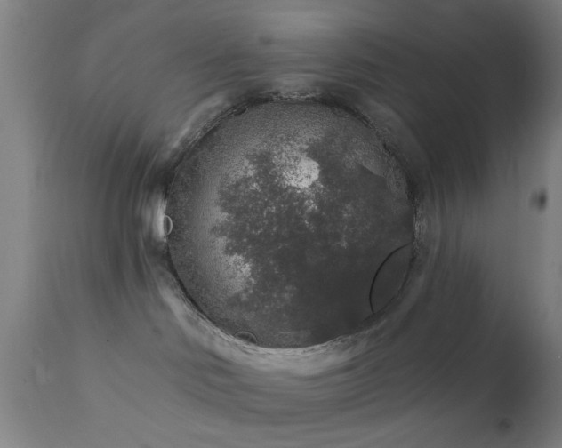 X0000111380046200907171233