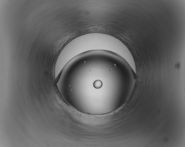 X0000111380047200907171233