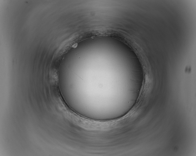 X0000111380048200907171233