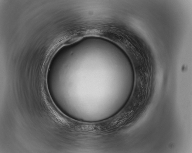 X0000111380049200907171232