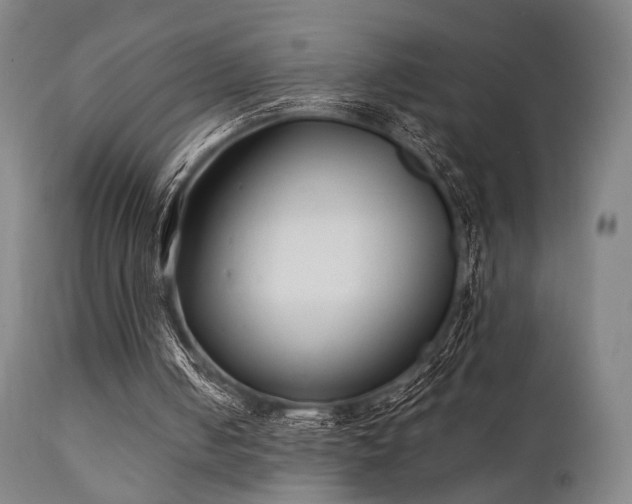 X0000111380050200907171232