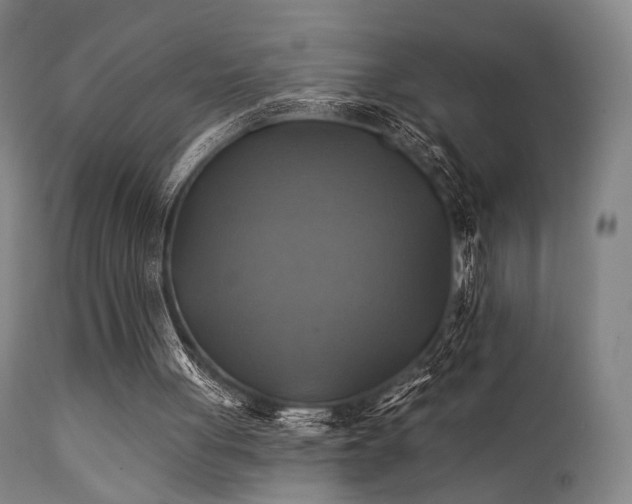 X0000111380051200907171232