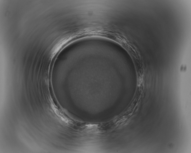 X0000111380052200907171232