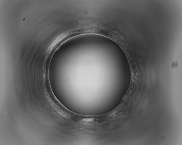 X0000111380054200907171232