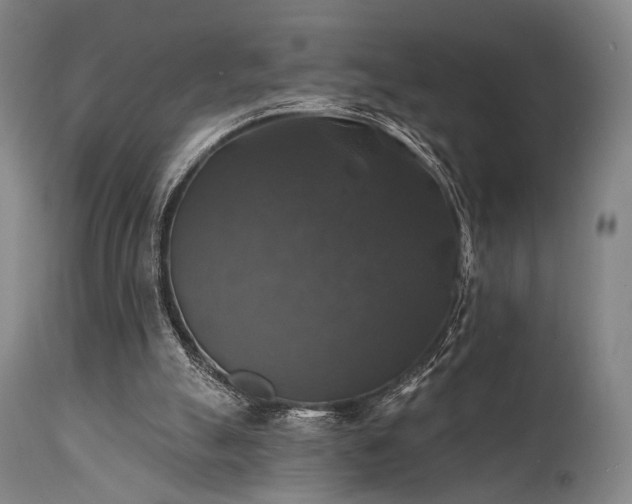 X0000111380055200907171232