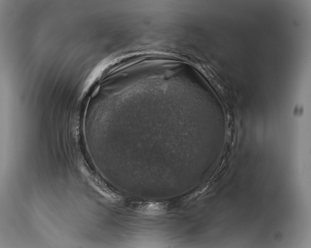 X0000111380056200907171232