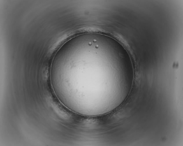 X0000111380063200907171232