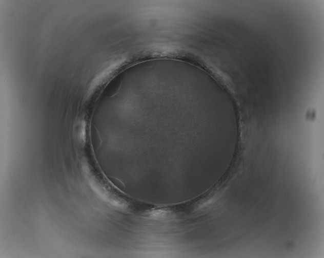 X0000111380067200907171232