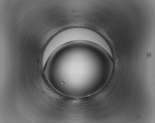 X0000111380068200907171232