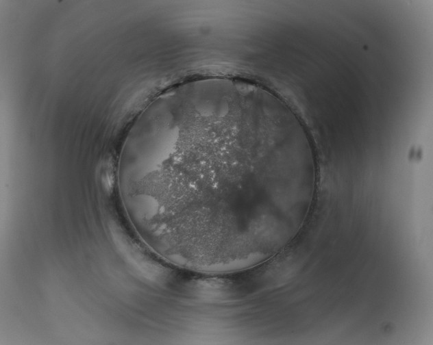 X0000111380069200907171232