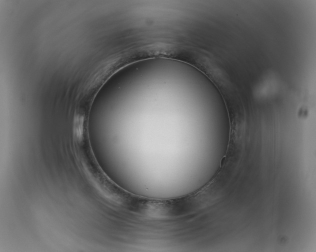 X0000111380070200907171232