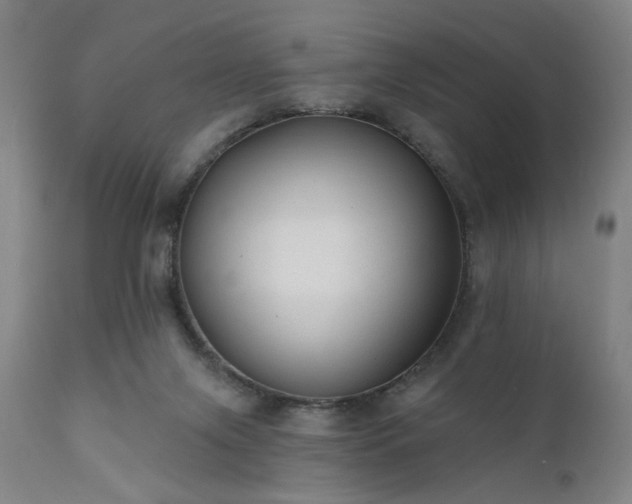 X0000111380071200907171232