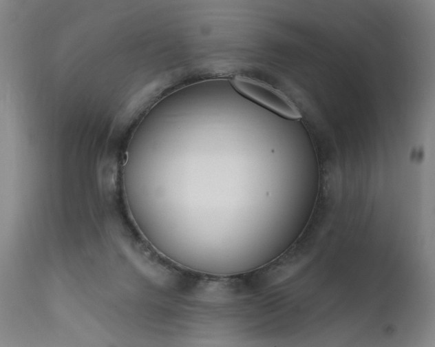 X0000111380072200907171232