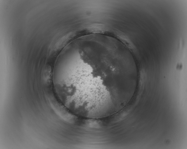 X0000111380073200907171232