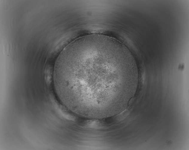 X0000111380074200907171232