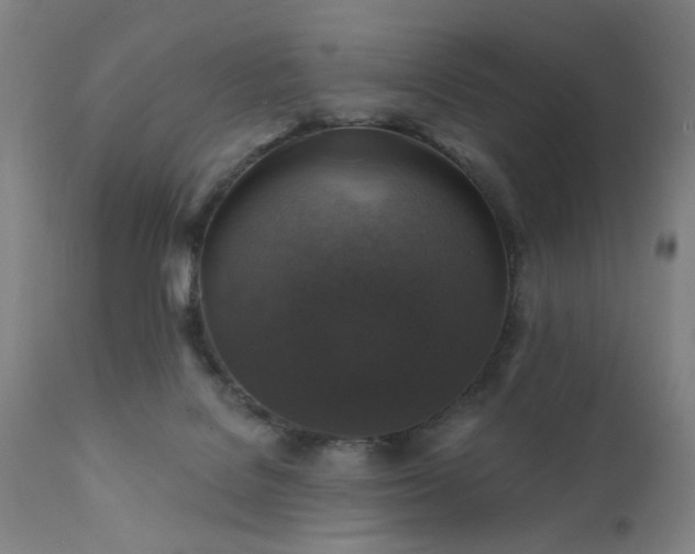 X0000111380076200907171232